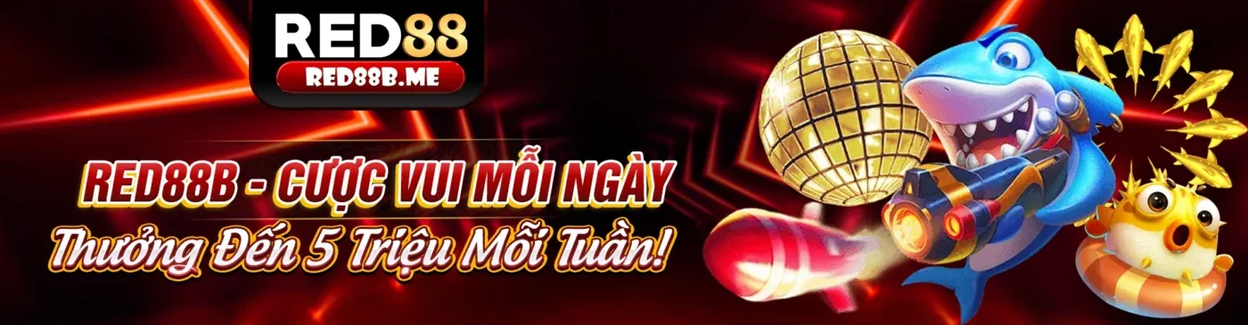 Sân vận động thể thao sôi động tại 7clubs